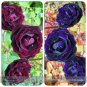 Mixed Purple Blue Big Blooming Climbing Rose Shrub 50 100% TrueRare Flowers Seeds