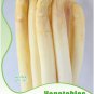 Rare White Asparagus OrganicChinese Vegetable Original 20 Seeds