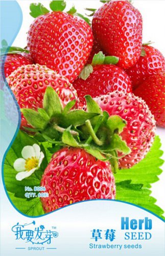 Large-sized Bright Red Cream Red Strawberry Original 60 Sweet Hardy Fruit E3294 Seeds