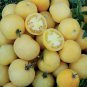 Wapsipinicon Peach Tomato Bonsai 100 Edible Sweet Golden Tomato for Bonsai Seeds