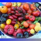 Mixed Vinson Watts Tomato Organic + Hybrid 100 Edible Tasty Fruit Seeds