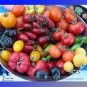 Mixed Vinson Watts Tomato Organic + Hybrid 100 Edible Tasty Fruit Seeds