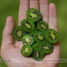 Cocktail Miniature Kiwi Kiwiberry Berry Hardy Actinidia Arguta Fruit 30 Seeds
