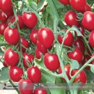 New Rose Red Long Cherry Tomato Hybrid 100 Tasty Fruit Seeds