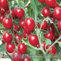 New Rose Red Long Cherry Tomato Hybrid 100 Tasty Fruit Seeds