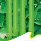 Green Long Club Bottle Gourd Fruit Original 10 Edible Gourds Vegetables Seeds
