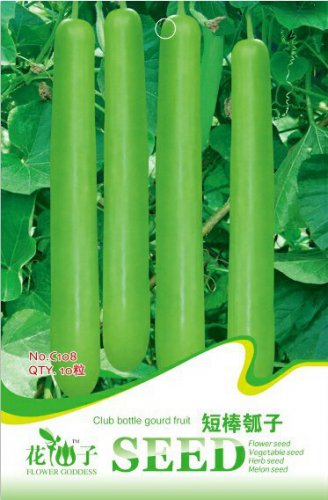 Green Long Club Bottle Gourd Fruit Original 10 Edible Gourds Vegetables Seeds