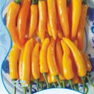 Anhui Yelow Hot Pickled Chili Pepper Organic Original 20 Great Tasty Sichuan Vegetables Seeds