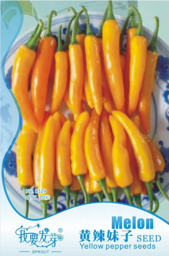 Anhui Yelow Hot Pickled Chili Pepper Organic Original 20 Great Tasty Sichuan Vegetables Seeds