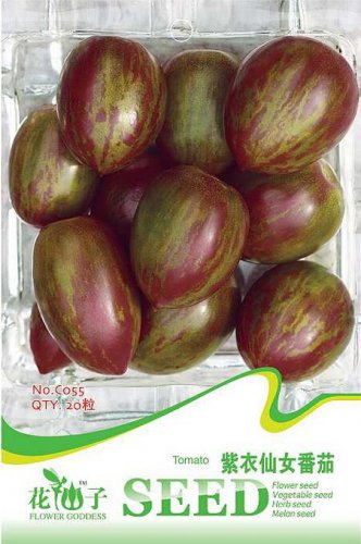 Purple Golden Cherry Tomato Organic Original 20 Great Tasty Salad Vegetables Seeds