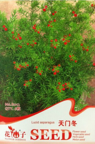Original 6 Lucid AsparagusChinese Herbs Seeds