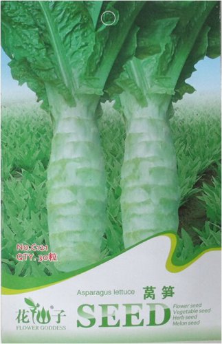 Chinese Green Asparagus Lettuce Original 30 OrganicChinese Vegetables Seeds