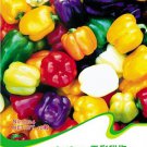 Mixed Green White Red Purple Yellow Organic Sweet Bell Pepper Vegetable Original 8 Seeds
