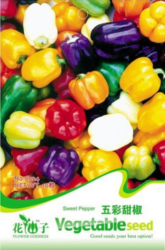Mixed Green White Red Purple Yellow Organic Sweet Bell Pepper Vegetable Original 8 Seeds