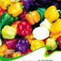 Mixed Green White Red Purple Yellow Organic Sweet Bell Pepper Vegetable Original 8 Seeds