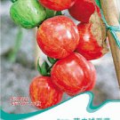 Colorful Small Cherry Tomato Organic Original 20 Interesting Garden Tomato Seeds