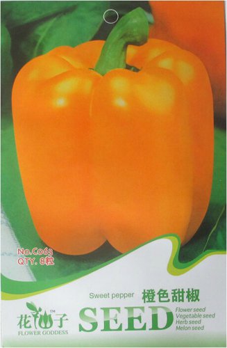 Orange Bell Pepper Organic Original 8 Sweet Capsicum Vegetable Seeds