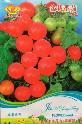 Rare Red Bonsai Dwarf Tomato Chong Ming Organic 30 Very Sweet Beautiful Little Tomato Seeds