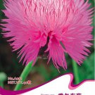 Pink Sweet Sultan Cornflower Original 40 Centaurea Imperialis Flowers Seeds