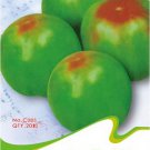 Rare Middle Green Tomato with Red Top Organic Original 20 Great Tasty Juicy Vegetables Seeds