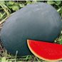 Gray Skin Big Long Red Sweet less Watermelon Organic 50 100% True Seeds