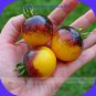 VeryRare Bumble Bee Tomato 300 Low Acid Tomato Seeds