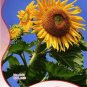 Original 25 Sunflower Garden Flower High Germination Seeds