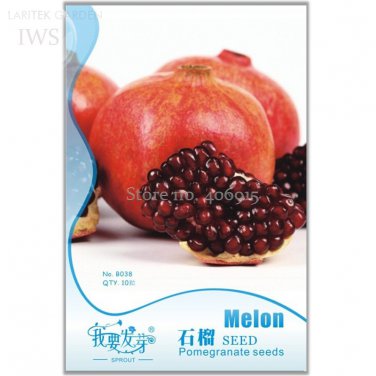 Pomegranate Trees Original 10 high quality pomegranate delicious bonsai organic plant Seeds
