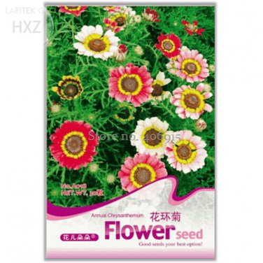 Garland Chrysanthemum Original 30 pyrenthrum painted daisy chrysanthemum carinatum flower Seeds