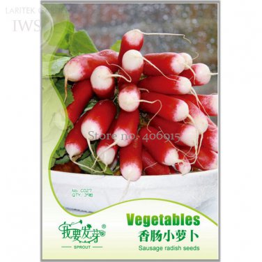 Sausage Radish Balcony Potted Vegetable Fruit Belle Radish Original 35 Seeds