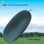 Dark Gray Skin Red Watermelon F20 Very Sweet Big Long Water Melon Seeds