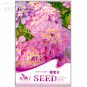 Candytuft Fragrant Iberis Amara Room Flower Bee 50 bonsai balcony flower flowers Seeds
