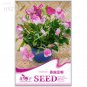 Beautiful Sweet Pea Flower 15 potted pink sweet pea shaped like a butterfly Seeds
