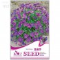 Adaptable Violet Queen Flower Original age 40 potted flower plants flowers Seeds