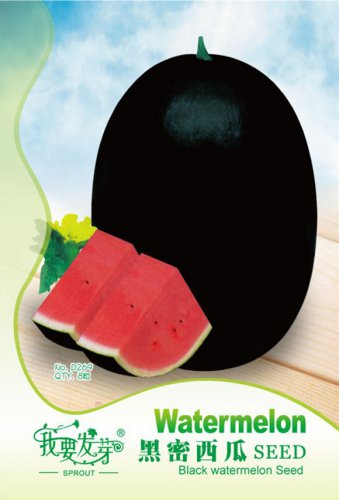 Black Long Sweet Watermelon (less ) Original 8 Juicy Sugar Contained 14% Seeds