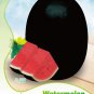 Black Long Sweet Watermelon (less ) Original 8 Juicy Sugar Contained 14% Seeds
