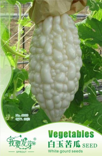 Original 10 White UltraRare Bitter Melon Bitter Gourd Beauty Winner A Must Have Variety Seeds