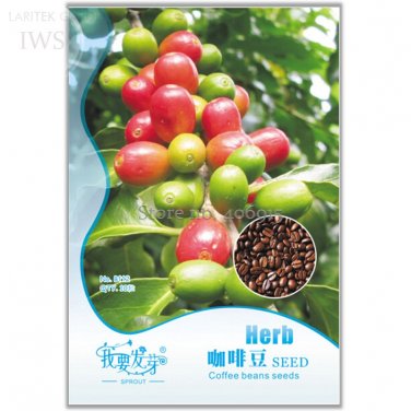 Colorful Coffee Bean Original 10 high medicinal value Seeds