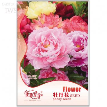 Red Peony Paeonia Suffruticosa The King Of Flowers 8 potted plant  Seeds