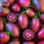 Ukranian Purple Cherry Tomato 100 edible organic fruits Seeds