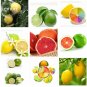 Rare Mixed 9 Types of Lemon Tree 20 planting available Seeds