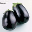Aubergine Black Egg Plant Vegetables 100 Seeds
