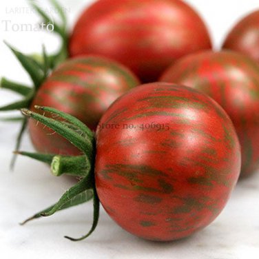 Artisan Purple Bumblebee Cherry Tomato 100 organic edible tomato Seeds