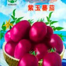 Purple Amaranthine Tomato Original Approx 500 Edible Tasty Tomato Herbs Fruits Seeds