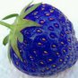 500PCS Organic Blue Strawberry Antioxidant Delicious PlantNewSeeds