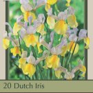 Apollo Dutch Iris 20 Bulbs Multiply Rapidly NEW 8/9 cm Bulbs
