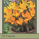 Yellow Mammoth Crocus 12 Bulbs Spring Blooming 9/10 cm Bulbs