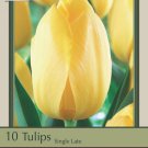 Big Smile Single Late Tulip 10 Bulbs 12/+ cm Bulbs Sunny Yellow Blooms