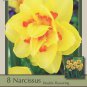 Tahiti Double Daffodil/Narcissus 8 Bulbs 14/16 cm Bulbs