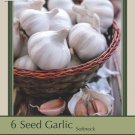 California Baja White Softneck Garlic Bulbs 6 Jumbo Bulbs